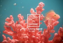 màu sắc chính thức năm 2019 living coral - cam san hô