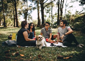 Bí quyết tiết kiệm chi phí đi picnic mà bạn không nên bỏ qua